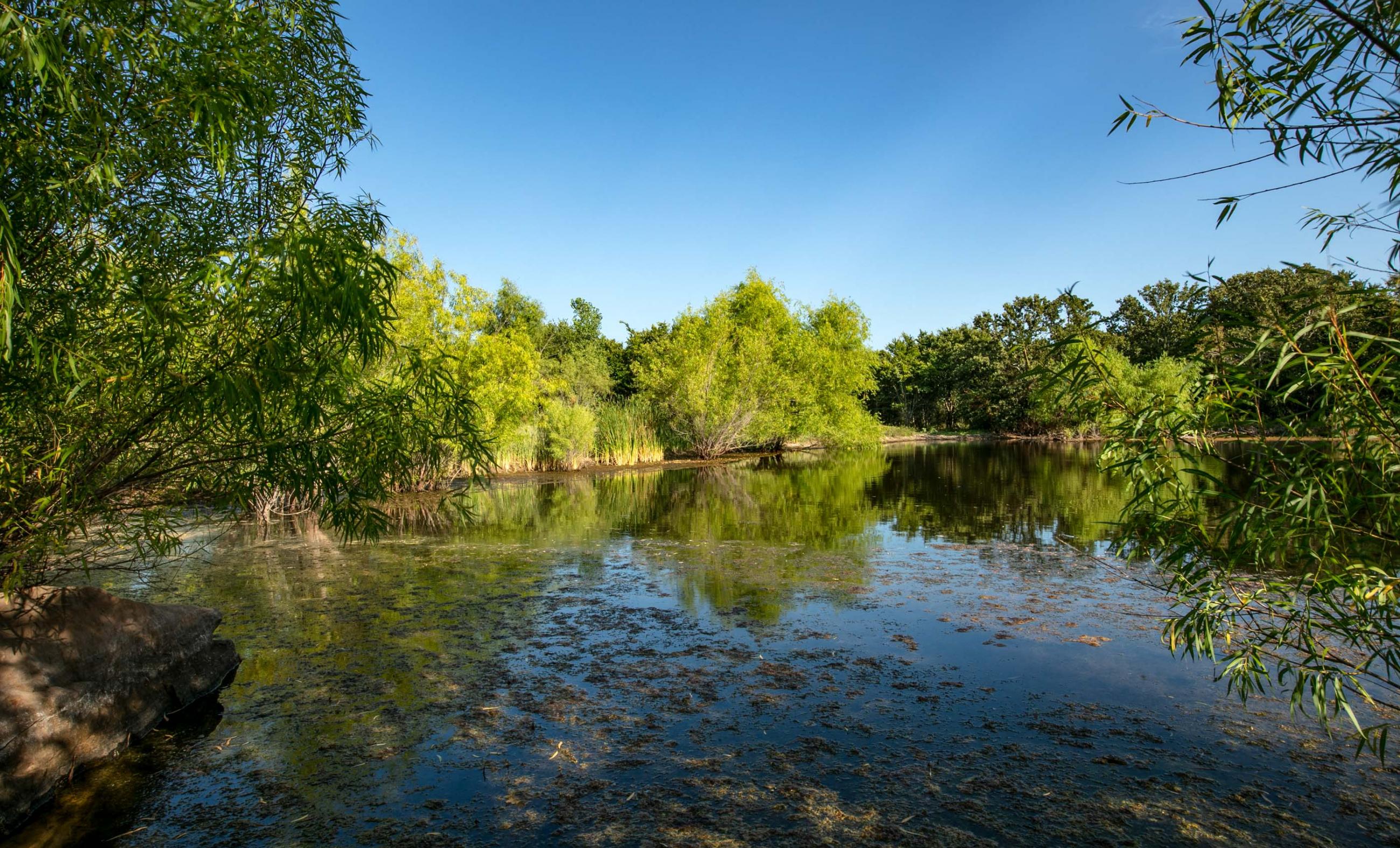 Coastal Mesa Ranch Chas S. Middleton
